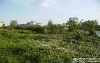 Покос камыша в Киеве и Киевской области