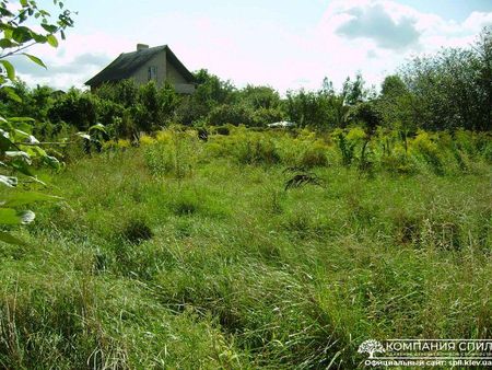 Покос Травы