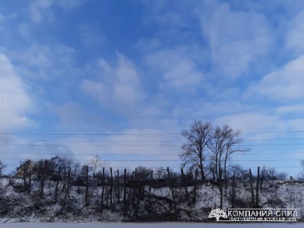 Обрезка деревьев