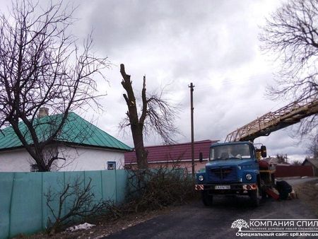 Обрезка Веток