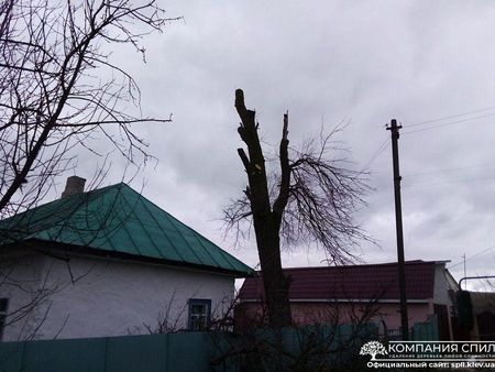 Спил, Обрезка С Автовышки