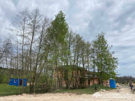 Очищення ділянки від дерев