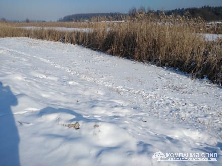 Очищення ділянки від очерету