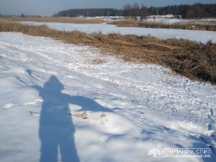 Очищення ділянки від очерету