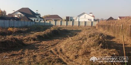 Очищення ділянки від очерету