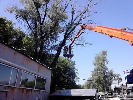 Обрезка Веток