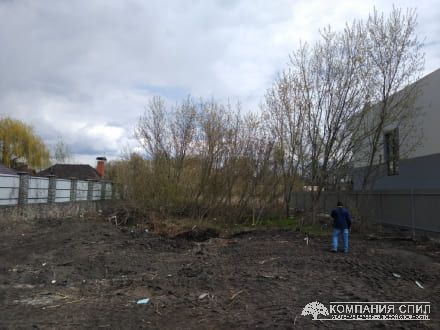 Розчищення ділянки від чагарника