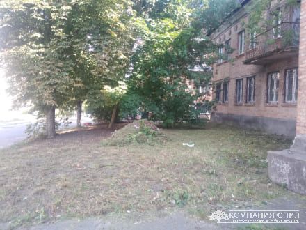 Розчищення ділянки від трави