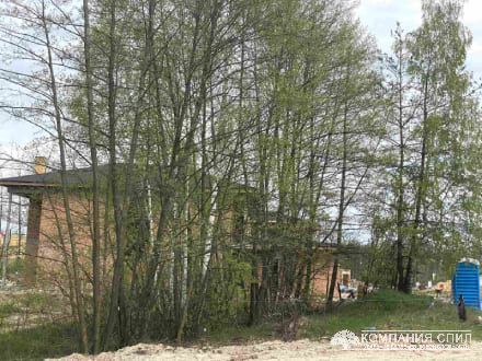 Розчищення ділянки від лісу