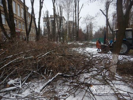 Аренда веткоруба