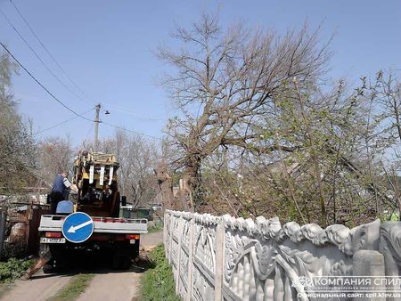 Спил Аварийных Деревьев