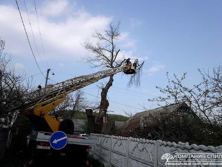 Спил Аварийных Деревьев