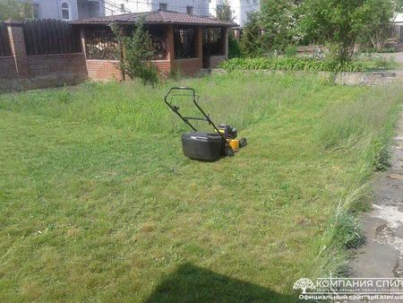 Стрижка газона - уход за газонами и кустами в Киеве