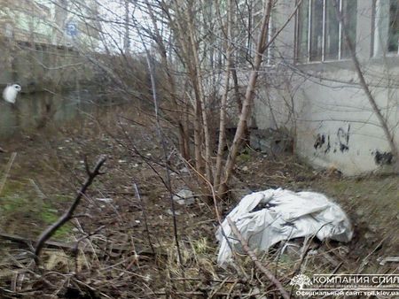 Расчистка территорий