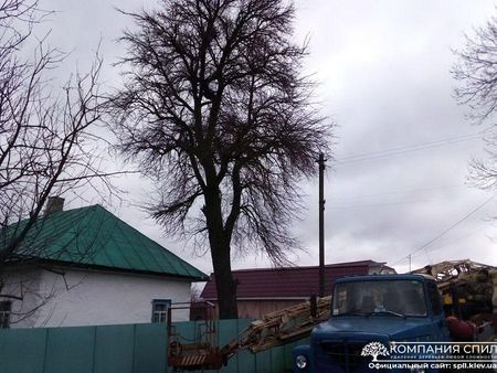 Спил, Обрезка С Автовышки