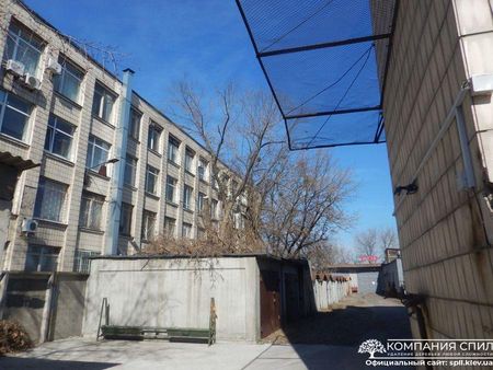 Обрезка Деревьев