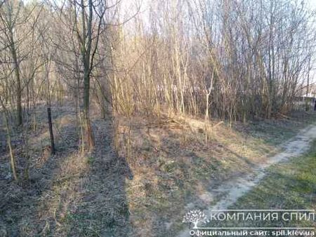 Разработка заброшенного участка