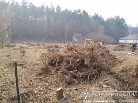 Разработка заброшенного участка