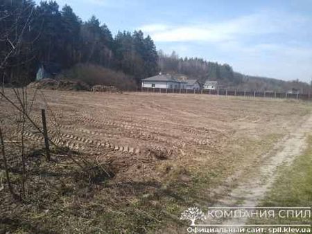 Разработка заброшенного участка