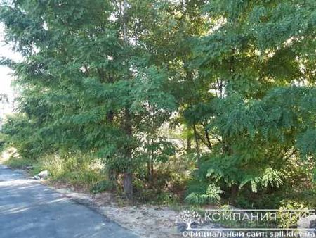 Уборка территории участка