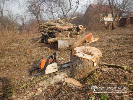 Удаление Деревьев На Участке