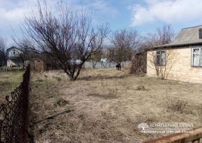 Покос трави на ділянці