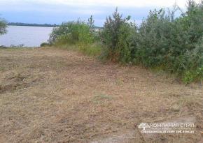 Викос бур'яну і дрібнолісся