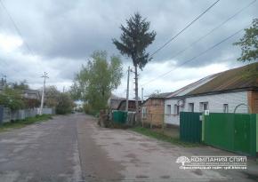 Спилювання ялини