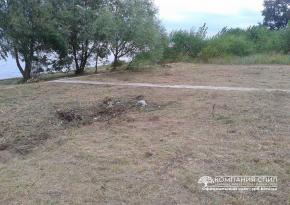 Викос бур'яну і дрібнолісся
