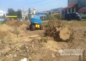 Корчування великих пеньків 5