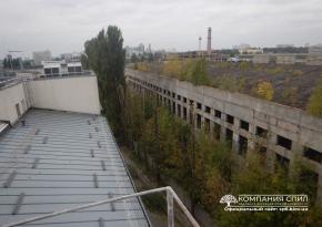 Обрізання тополів