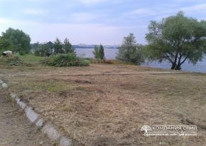 Викос бур'яну і дрібнолісся