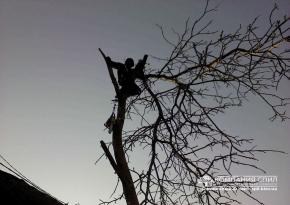 Cпилювання складного горіха на ділянці