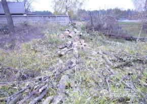 Пиляння дерев на ділянці