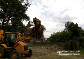 Корчівка пнів