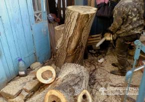 Cпилювання складного горіха на ділянці