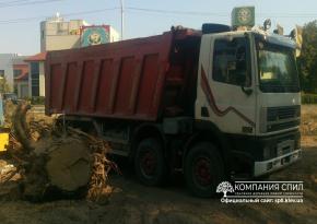 Корчування великих пеньків 8
