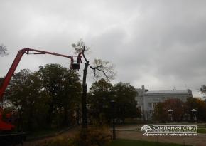 Спил аварійного дерева