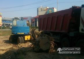Корчування великих пеньків 9