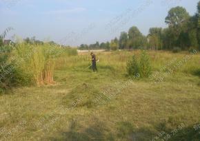 Покос трави 10га за Києвом і області/компанія Спил