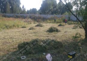 Покос трави 10га за Києвом і області/компанія Спил