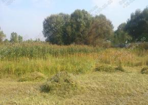 Покос трави 10га за Києвом і області/компанія Спил