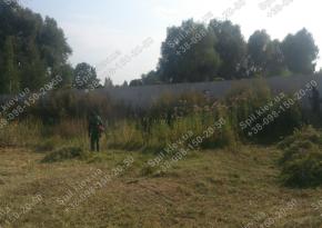 Покос трави 10га за Києвом і області/компанія Спил