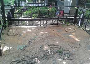 Видалення дерев на цвинтарі