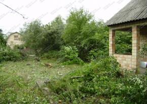 Видалення дерев на ділянці у Києві та області | Спил