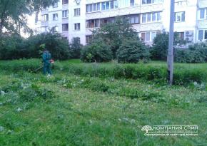 Покос травы с уборкой