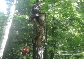 Видалення дерев на цвинтарі