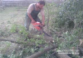 Пиляння дерев на ділянці