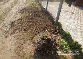 Корчівка пня вручну