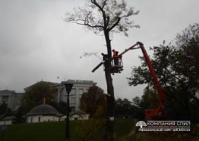 Спил аварійного дерева